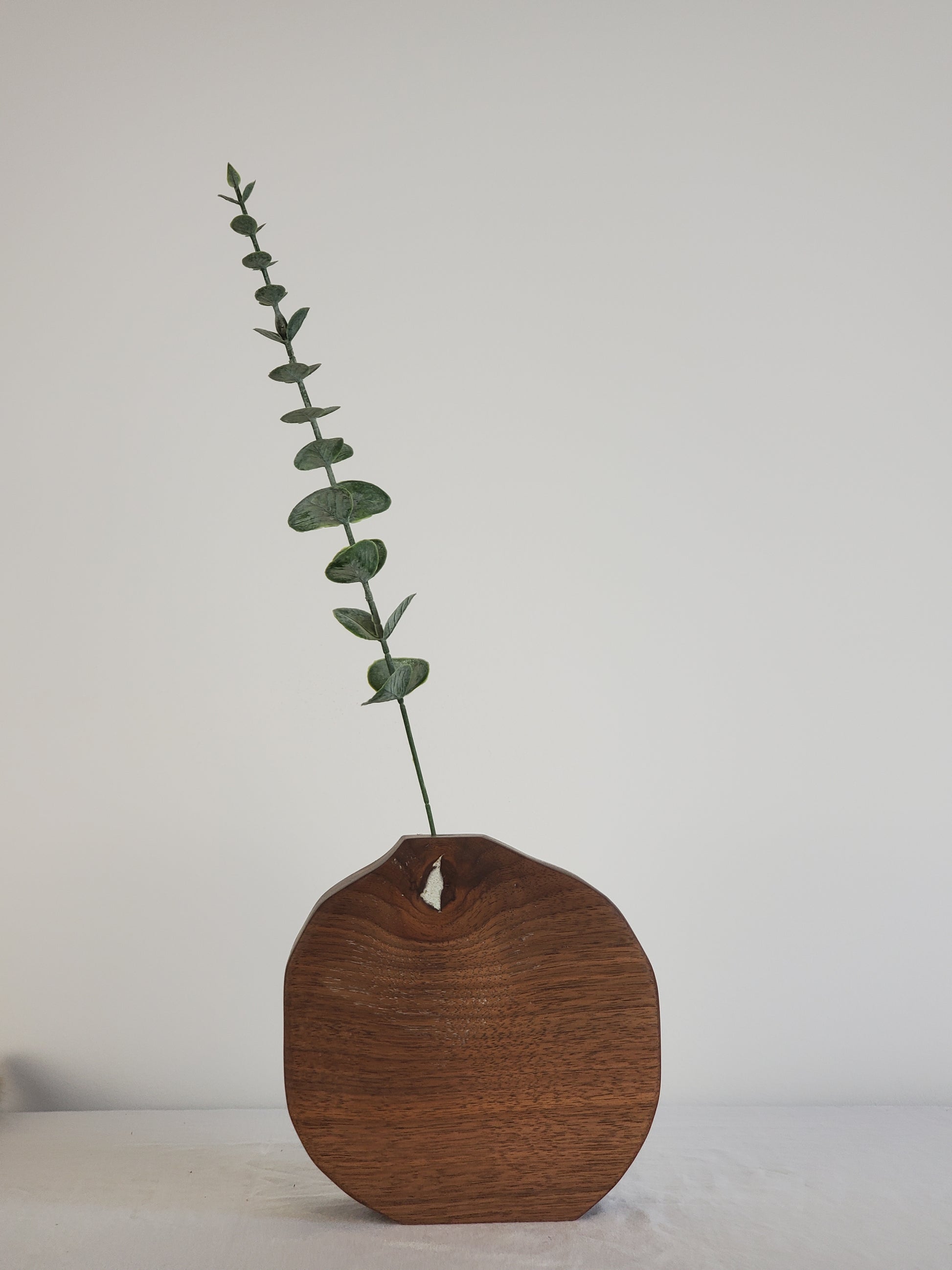 Wooden bud vase with a leafy branch on a white wall