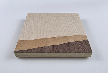 Wooden artwork with different wood grain patterns on a white background viewed from the bottom edge perspective. Jennifer Mourato Art Collection