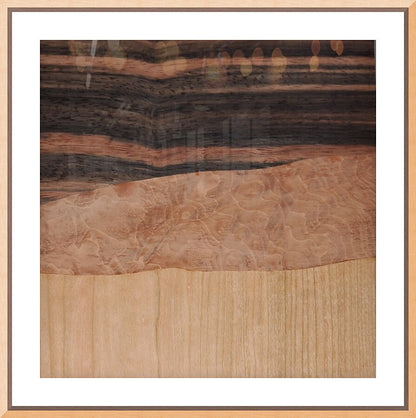 2506037 :: Framed Print