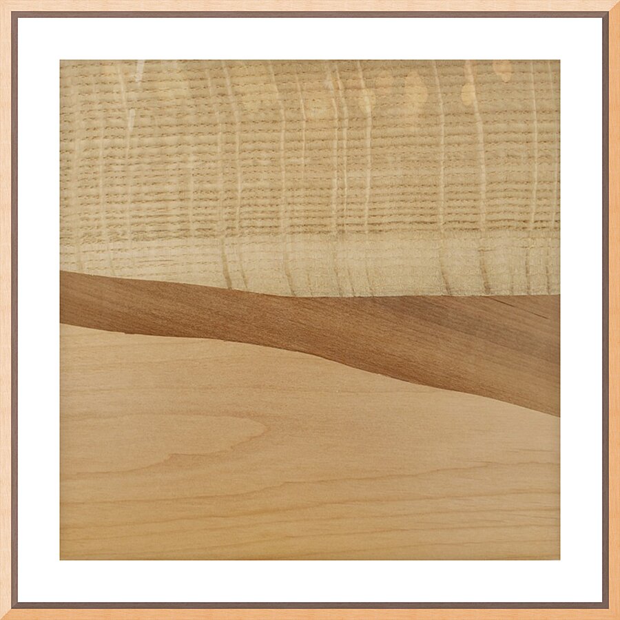 2513238 :: Framed Print