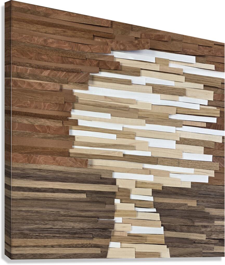 2678645 :: Giclée Stretched Canvas Print