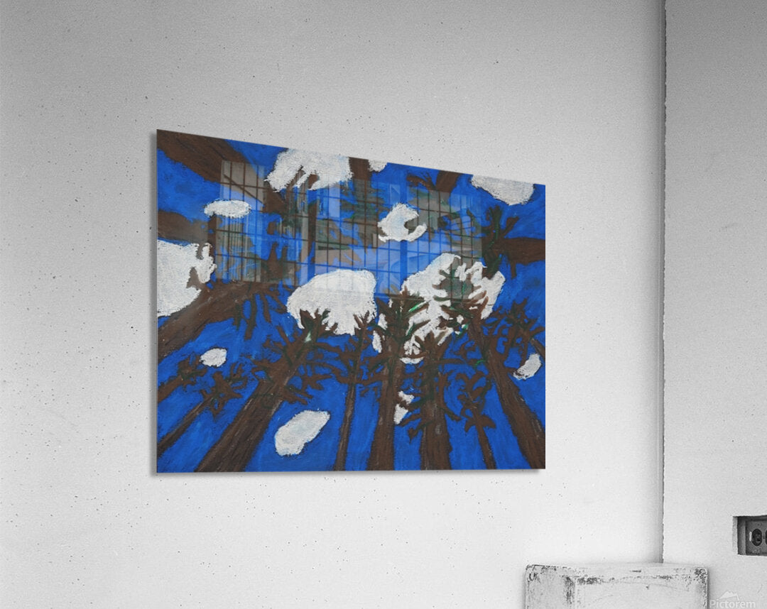 2357423 :: Acrylic Print