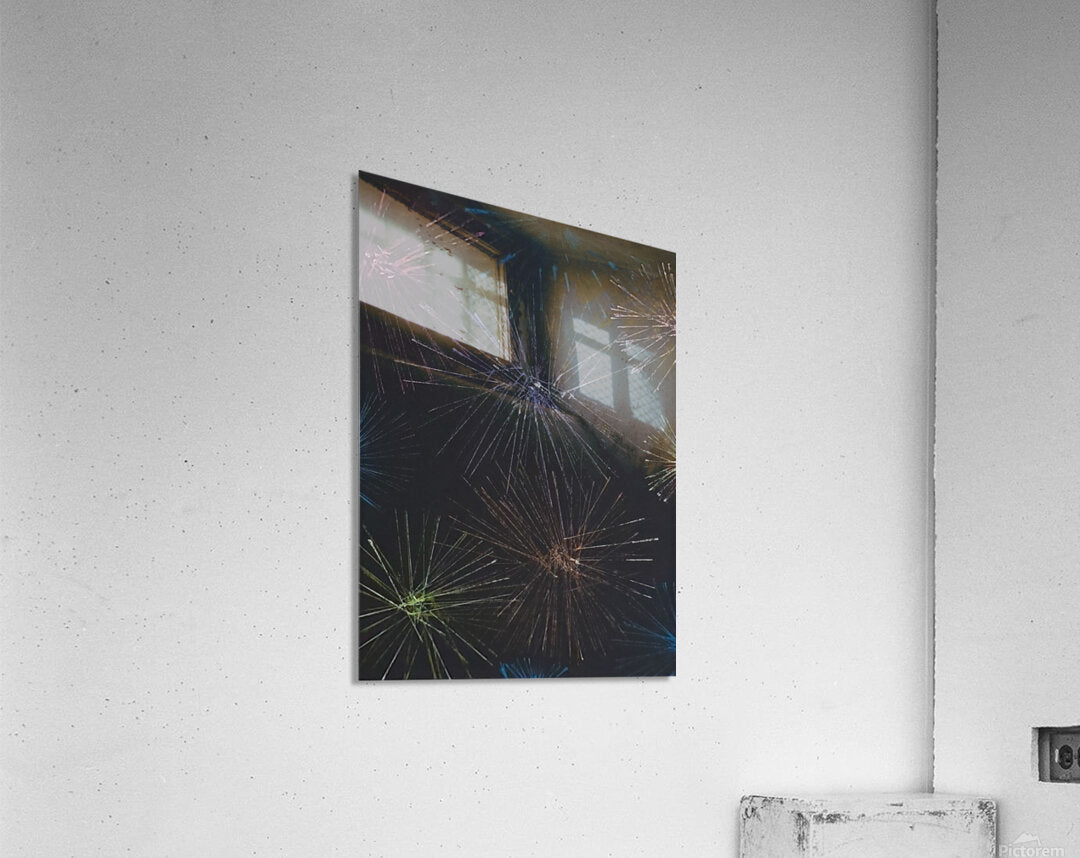 2357486 :: Acrylic Print