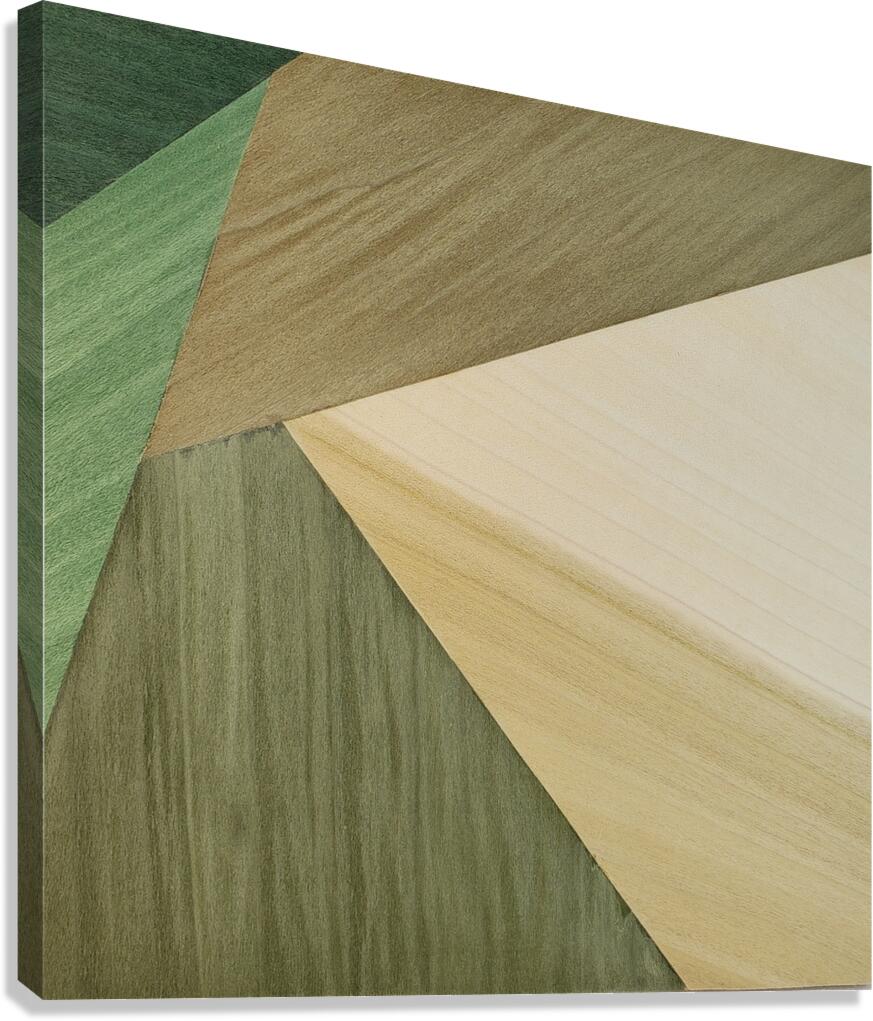 2507831 :: Giclée Stretched Canvas Print