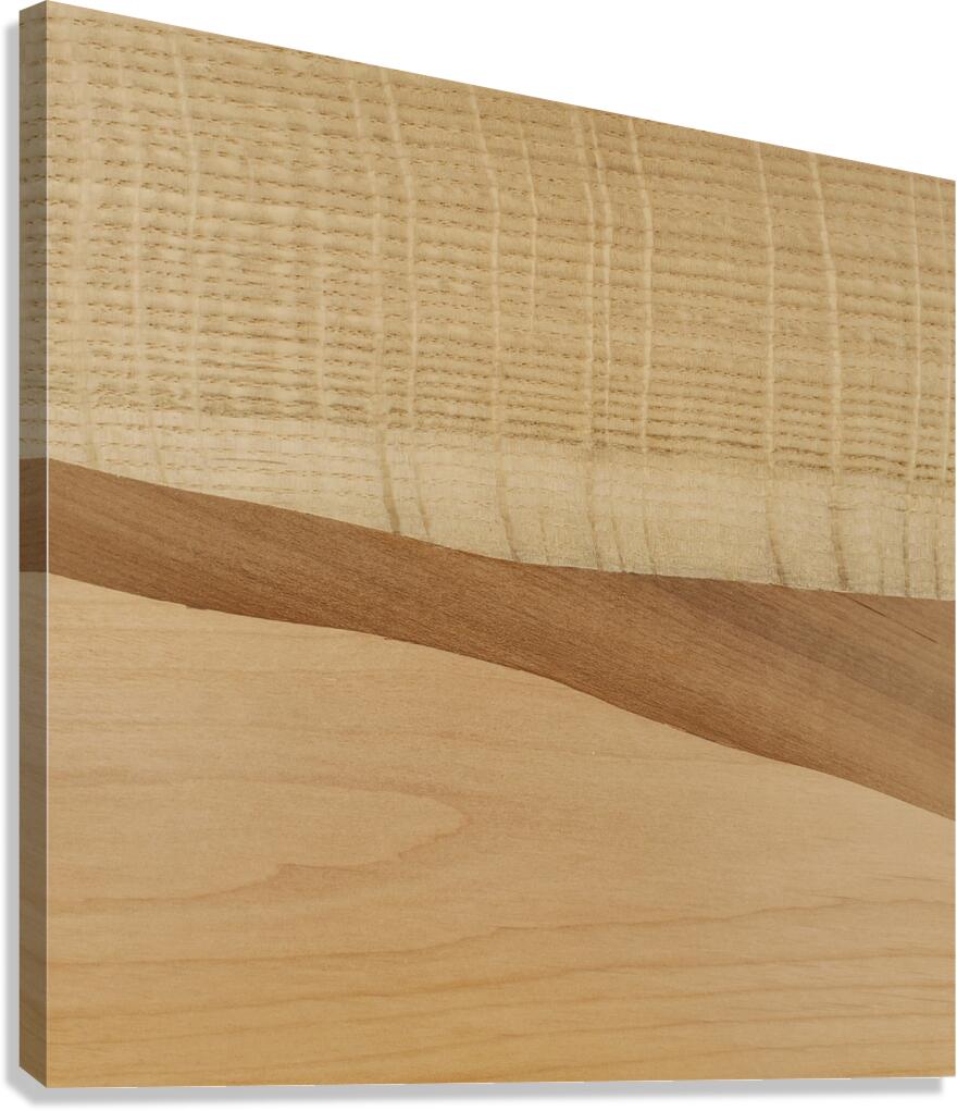 2513238 :: Giclée Stretched Canvas Print