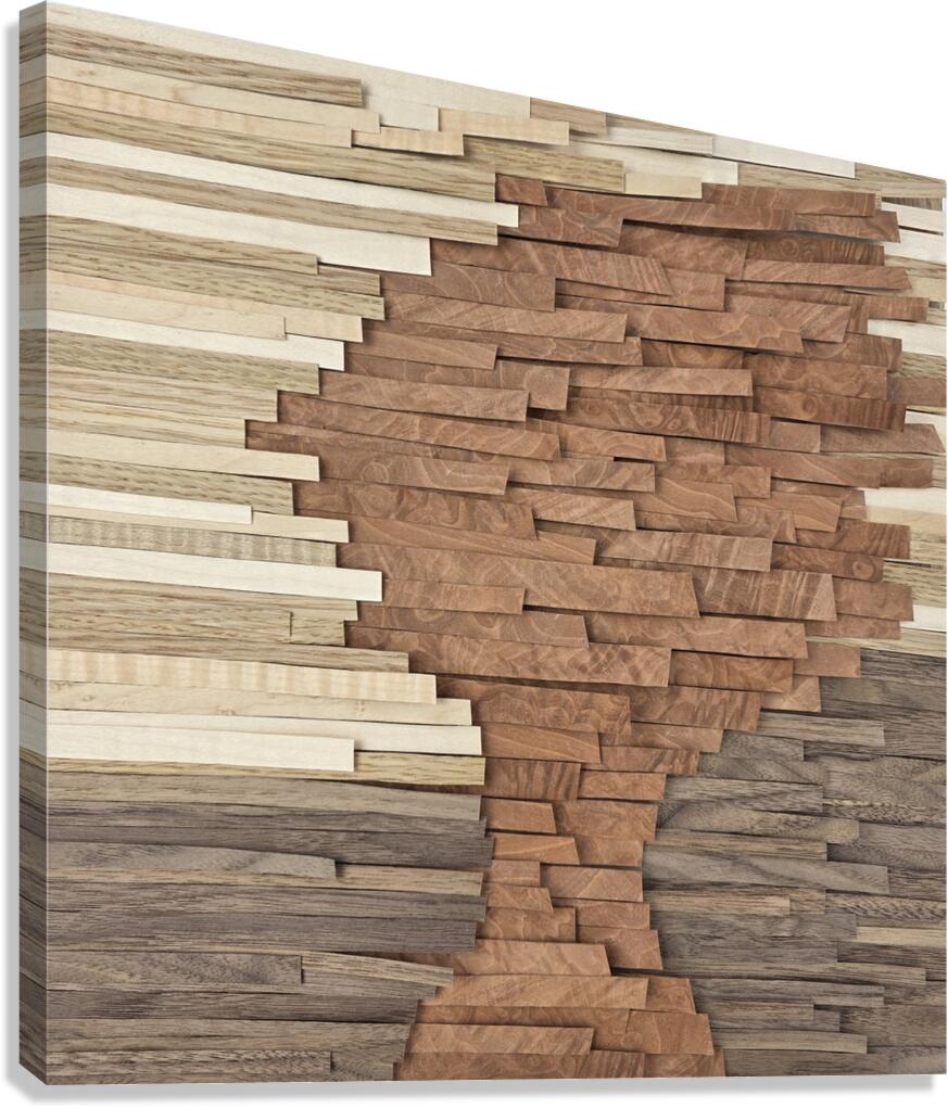 2539191 :: Giclée Stretched Canvas Print