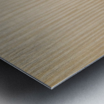 2506036 :: Brushed Metal Print