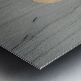 2509244 :: Brushed Metal Print