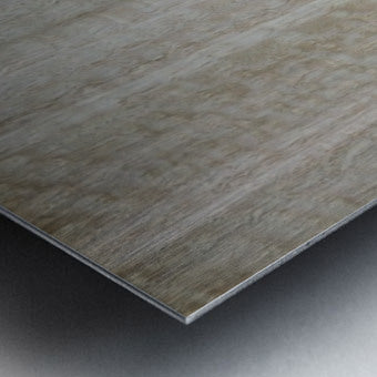 2511031 :: Brushed Metal Print