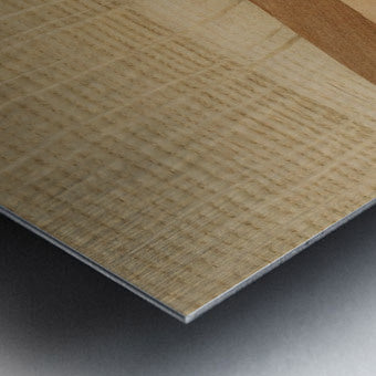 2513238 :: Brushed Metal Print